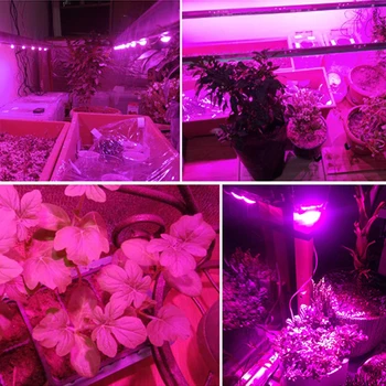 10 W 20 W 30 W, 50 w 100 W высокомощный диод LED чип лампа за отглеждане на растения и 380 нм-840 нм COB led чип за вътрешно и външно осветление на растенията