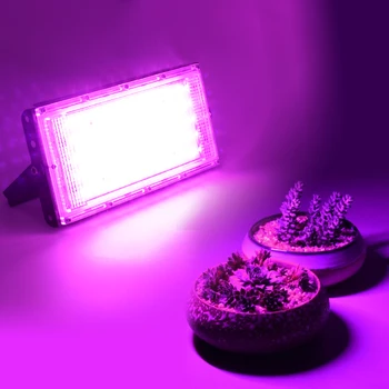 2 елемента 50 Watt Led Лампа За Отглеждане на 220 В Пълен Набор от Фитолампы За Растенията На Открито и На Закрито емисиите на Парникови Семена от Цветя Растат Палатка Скоростна Led Лампи
