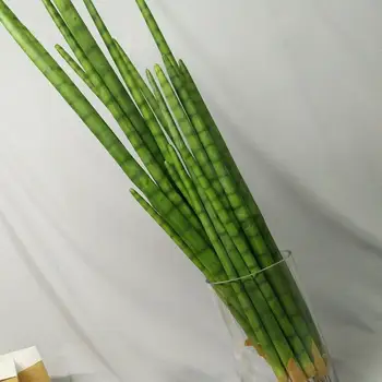 50 СМ-108 см, Изкуствена Трева Змия Тропически Растения Рядък Кактус Пластмасови Изделия Подпори За Моделиране на Хотел Офис Начало Декор на Аксесоари