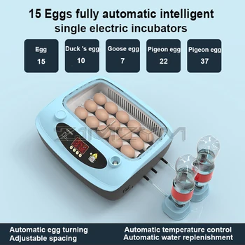Инкубатор за Инкубация 15 Яйца Напълно Автоматичен Переворачивание Яйца Пиле Пъдпъдъци, Гъска, Патица Птици Инкубационная Птица за Инкубатор на Домакински една квачка